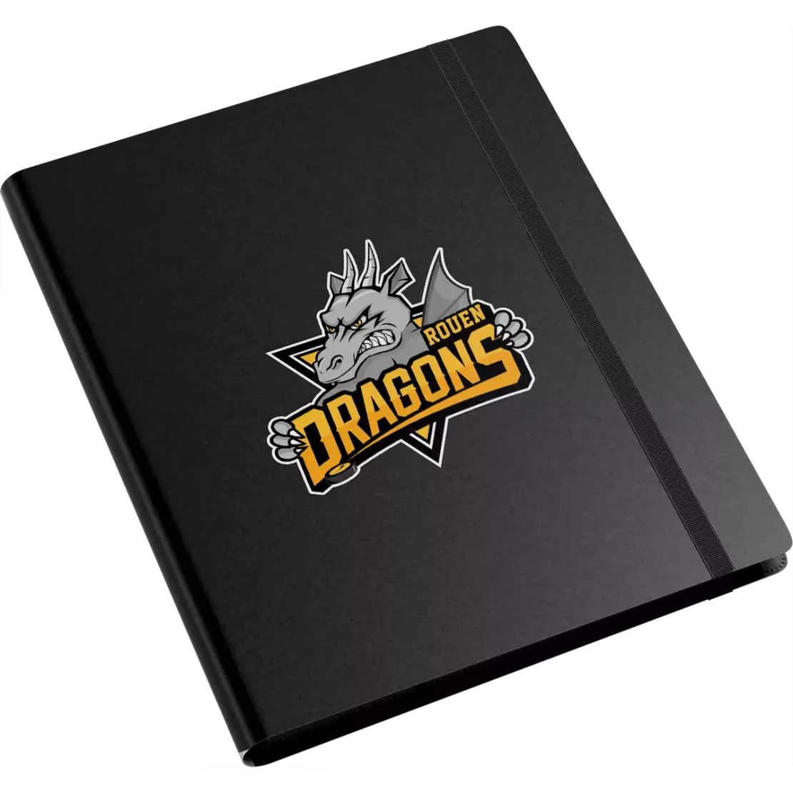 Album Dragons de Rouen - 9 cases - Logo