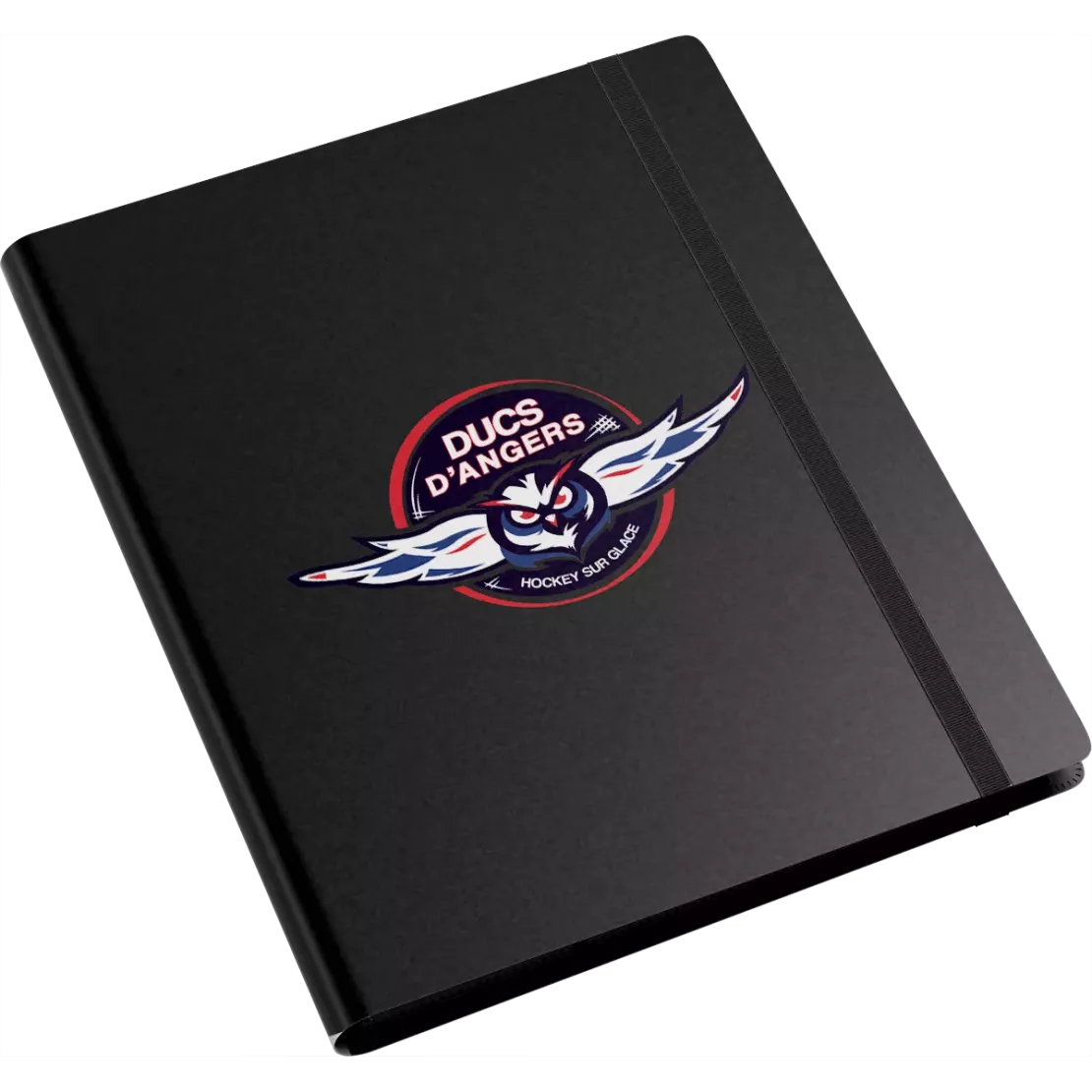 Album Ducs d'Angers - 9 cases - Logo