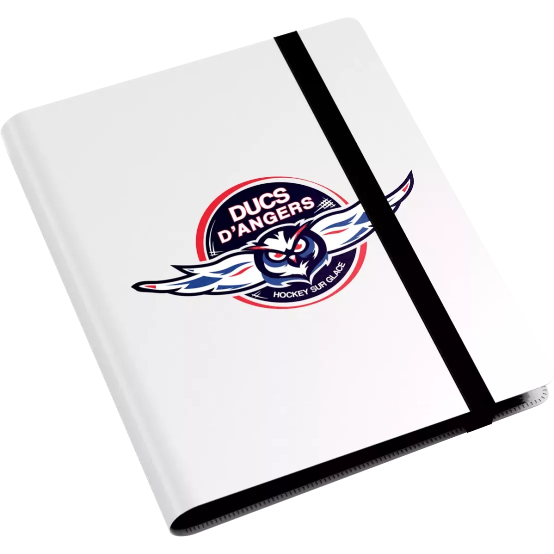 Album Ducs d'Angers - 4 cases - Logo