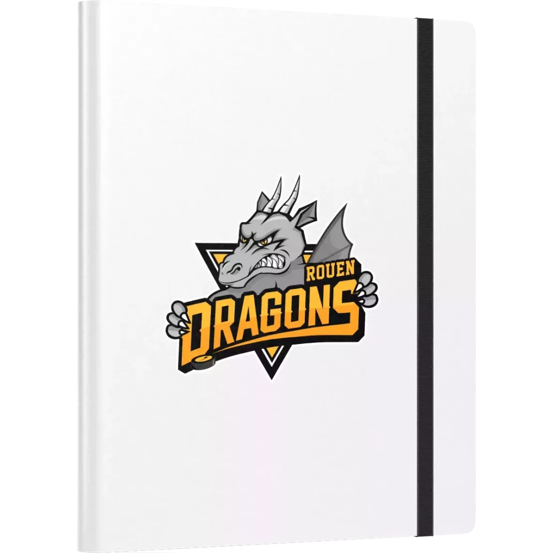 Album Dragons de Rouen - 4 cases - Logo